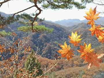 两部门紧急预拨1.2亿支持甘肃、内蒙古抢险救灾